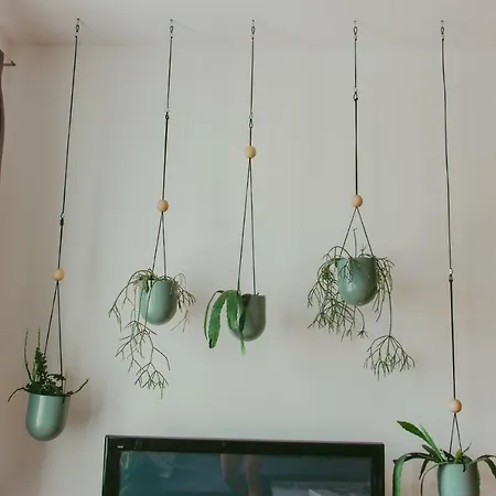 Projekt Piekary Apartment